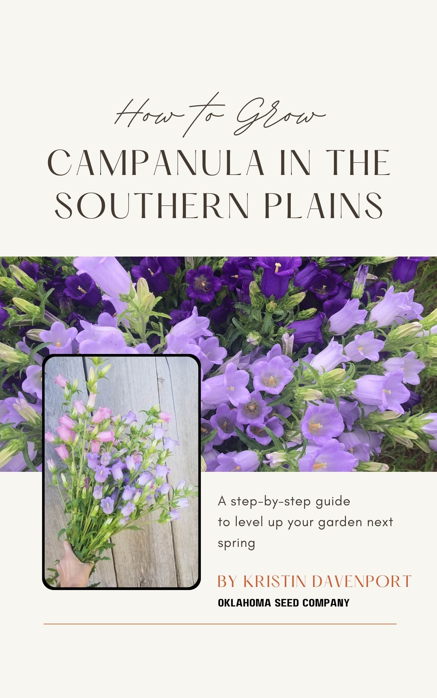 How to Grow Campanula in the Southern Plains (ebook)