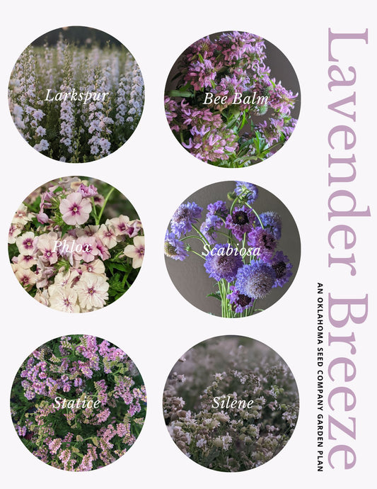 Flower Kit 'Lavender Breeze'
