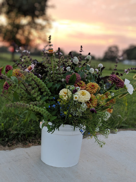 Flower Kit 'Oklahoma Sunset'