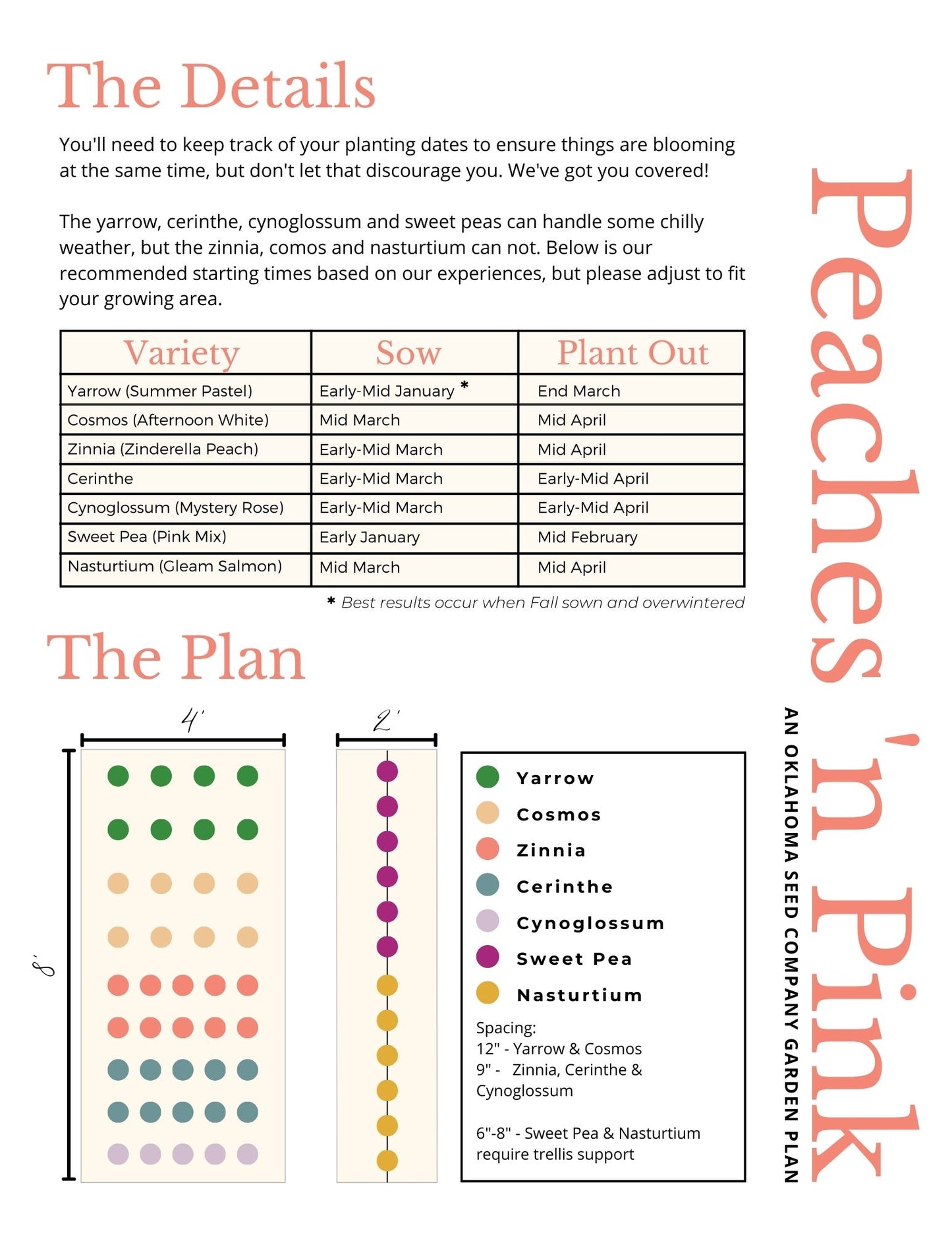 Peaches 'n Pink Garden Plan - Printable (FREE!)